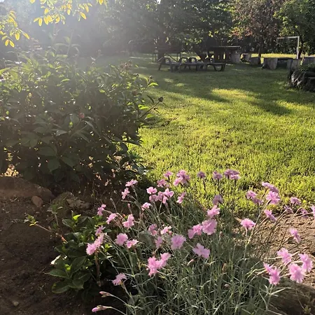 Apartament Tea Balatongyörök