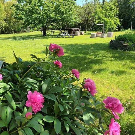 Apartman Tea Balatongyörök