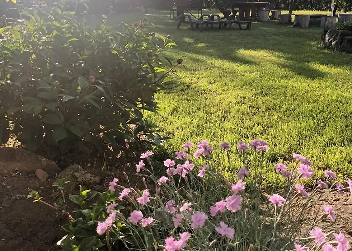 Appartement Tea Balatongyörök