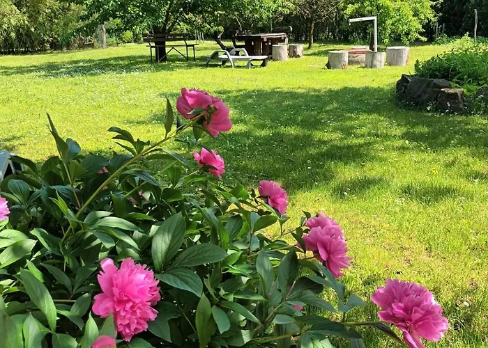 公寓 Tea Balatongyörök